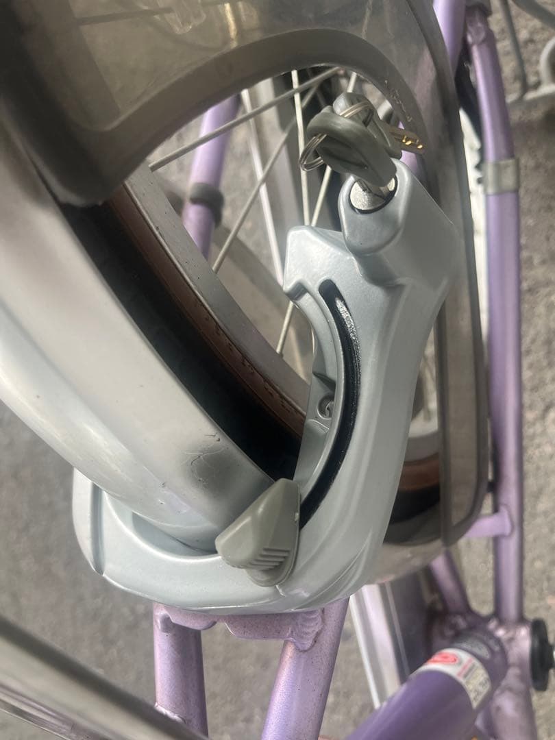 NGUYEN THI HA　愛知県限定手渡のみ名古屋市北区西区配送無料