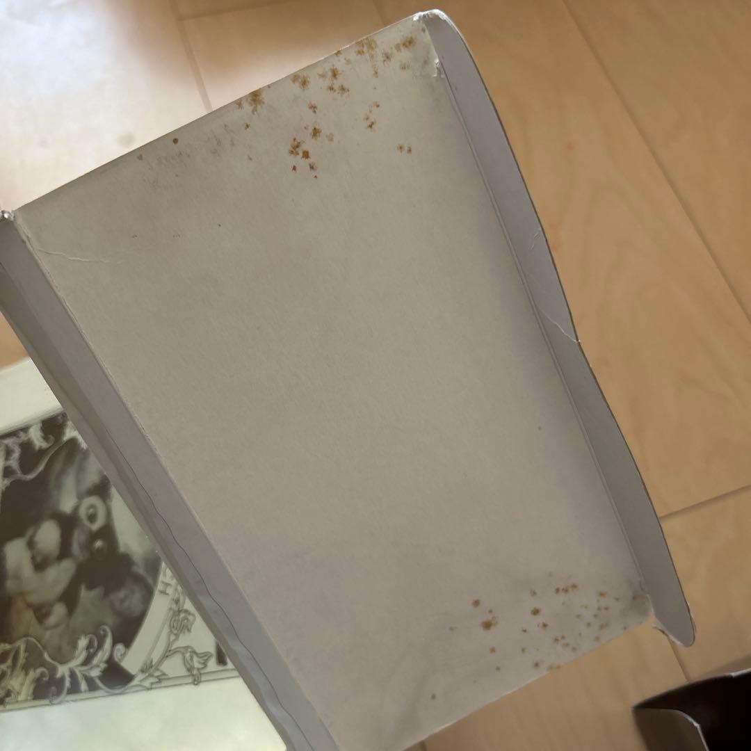 【即購入ok!!】グレムリン ギズモ 2400体限定 ぬいぐるみ