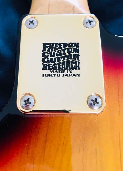 Mavis/メイヴィス/MTL/テレキャスター/モディファイ/美品