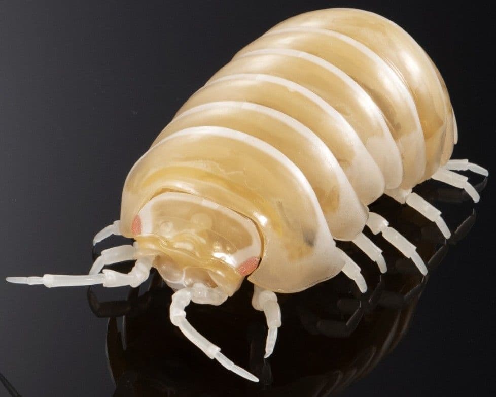 オンライン限定 いきもの大図鑑 ダンゴムシ（重塗装版） 全3種 コンプ