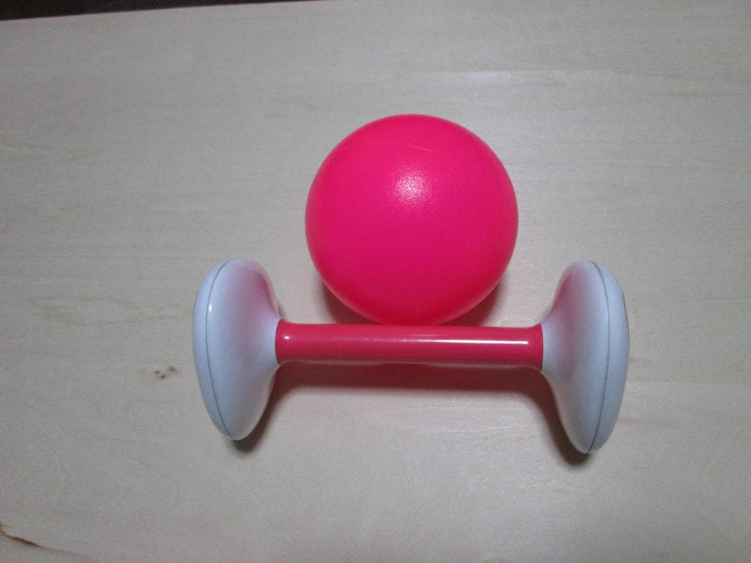 ソニー アイボ aibo 犬 ペットロボット ERS-1000 ホワイト【中古】