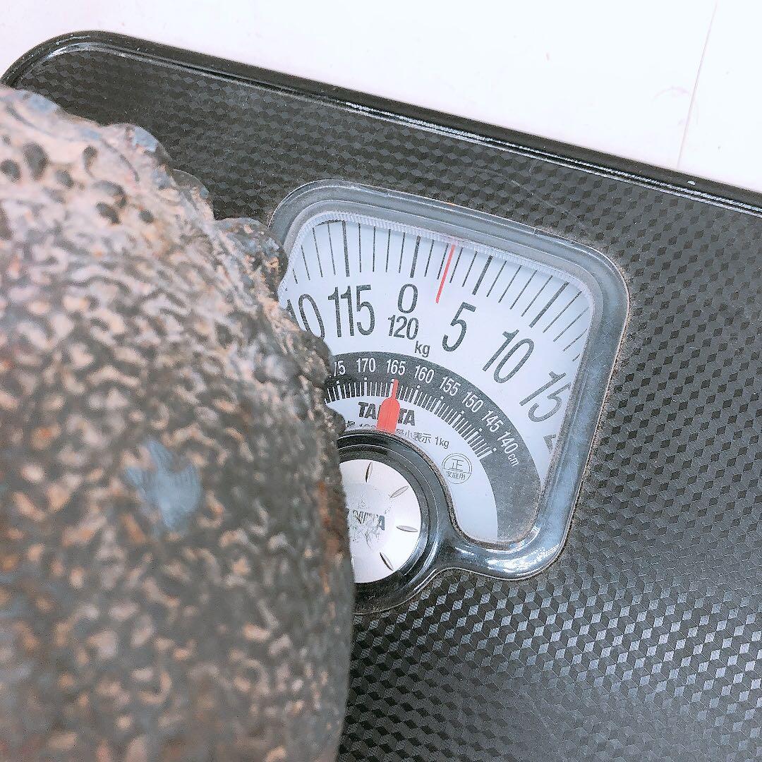 要確認】日本亀文 鉄瓶 銅蓋 動物モチーフ 重さ約2.5kg アンティーク