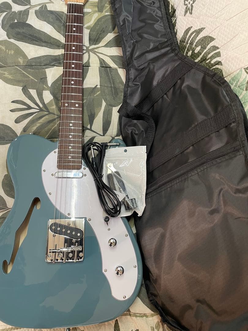 【ほぼ未使用品】SELDER TLT20セルダー エレキギター シンラインタイプ