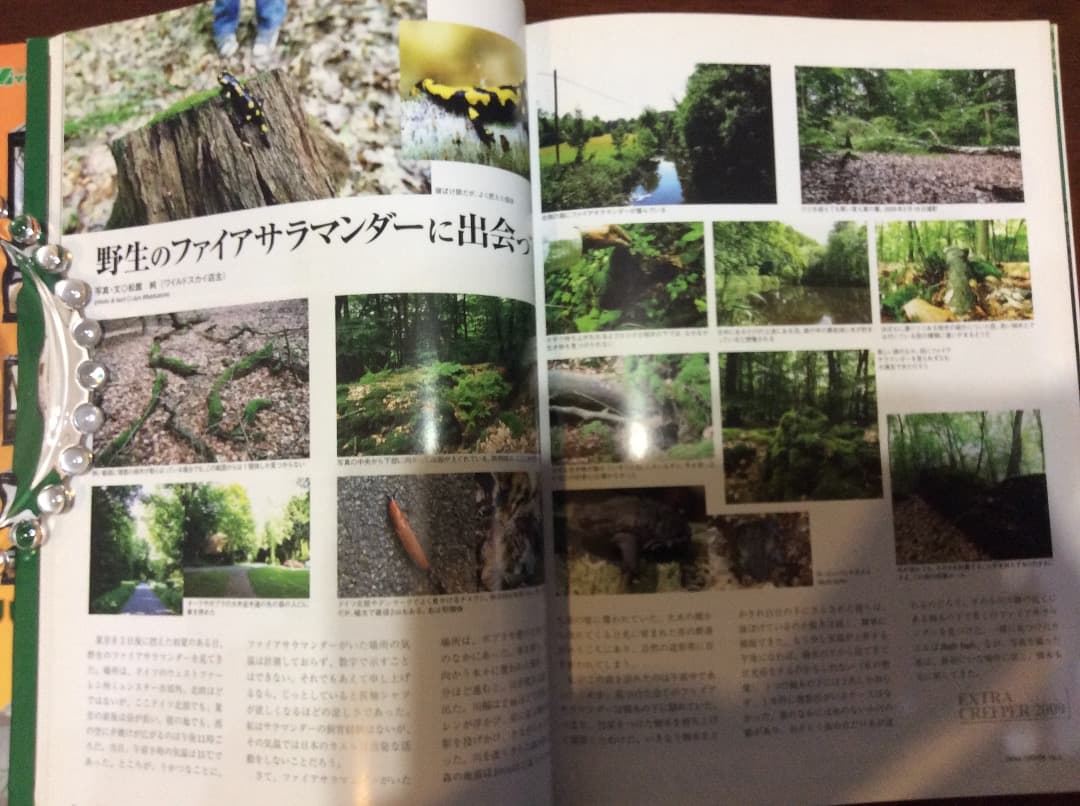 EXTRA CREEPER エクストラ・クリーパー 全4冊 誠文堂新光社の通販はau