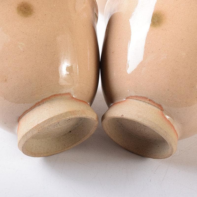 煎茶道具 虫明焼 煎茶器 5客 時代箱 V 8257