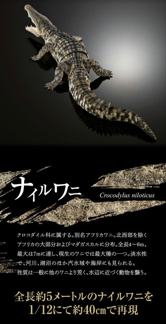 新品輸送箱未開封 いきもの大図鑑アルティメット ナイルワニ＆オオ