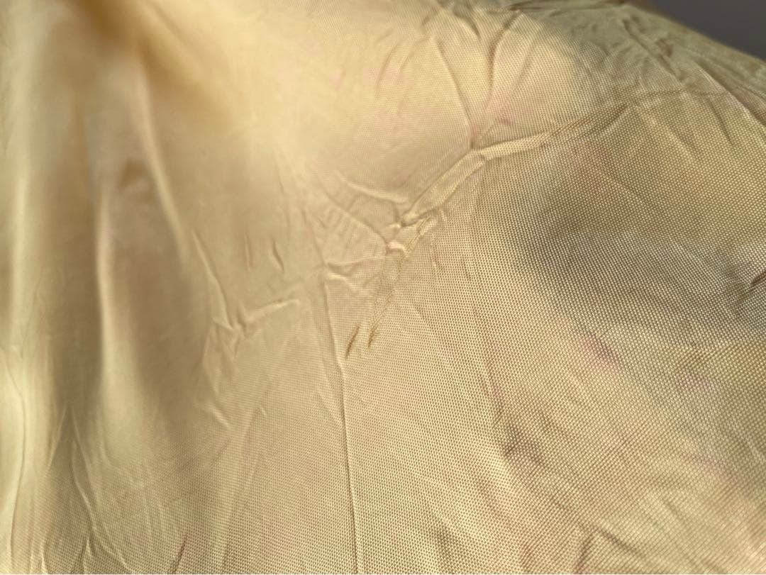 琥珀 セミの標本 セミ レジン封入 テイオウゼミ樹脂琥珀標本 大型