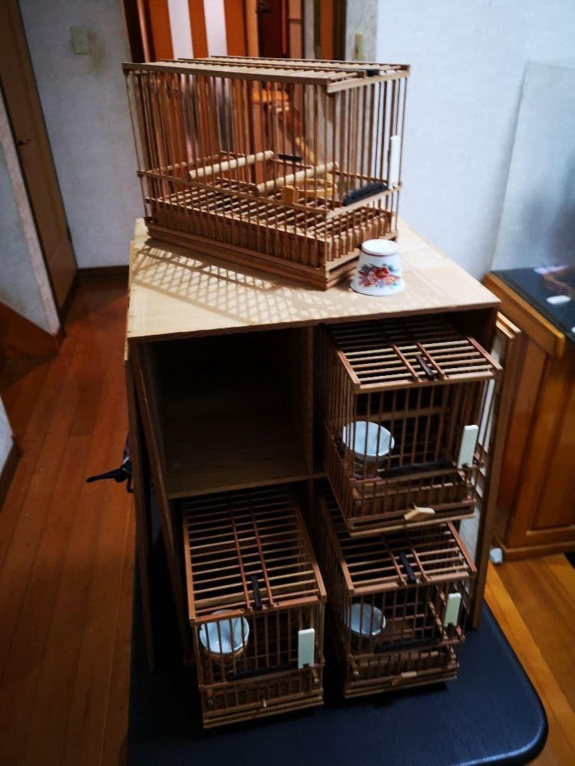 【3日間限定値下げ中】　メジロ籠/ホオジロ籠&寝かせ籠《高級品/職人籠》