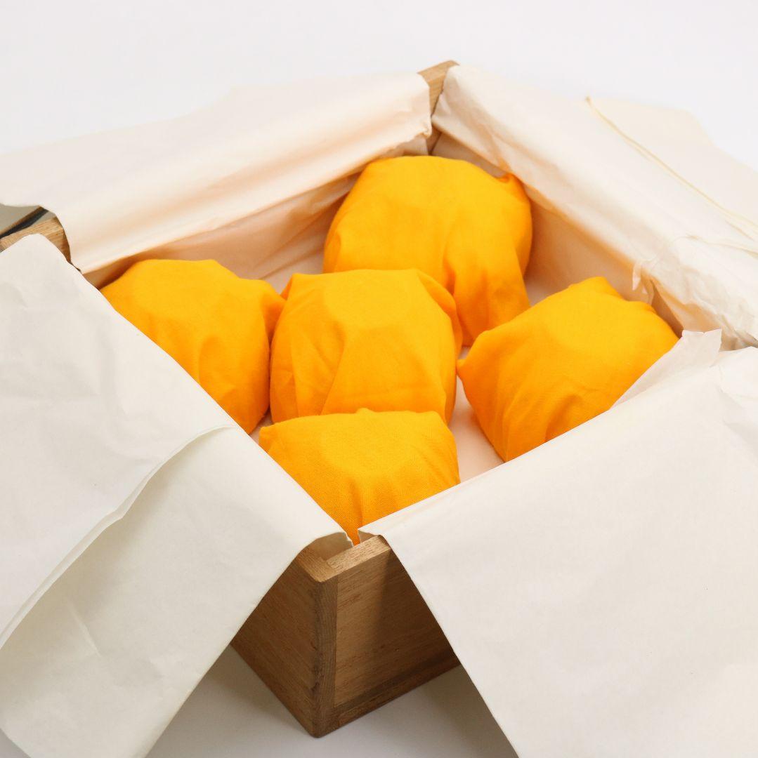 林敏夫作 白磁唐草文湯呑 五客 共箱 板谷波山弟子C695