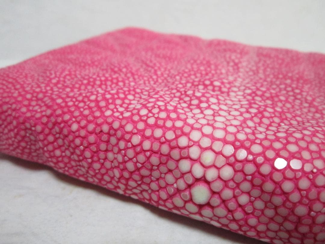 ペンケース ガルーシャ アシュフォード 趣味の文具箱 コラボ 5本差し