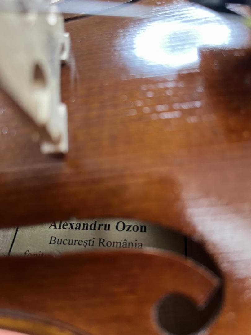 Alexandru Ozon Bucuresti Romania 2017