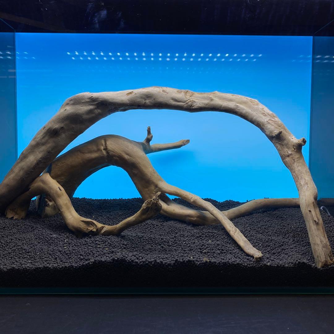 MDW-6763ブランチウッド 流木 枝流木 アクアリウム