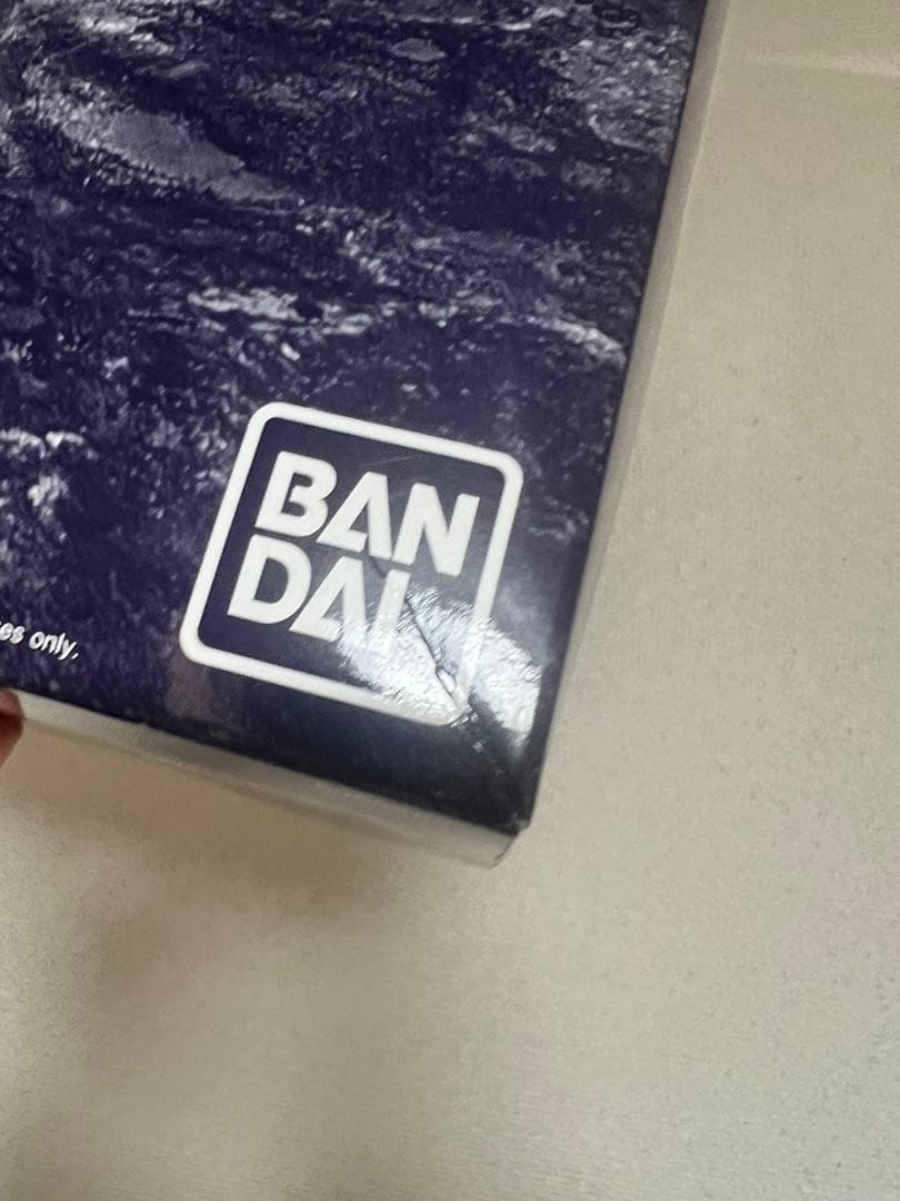 MG 1/100 ジェスタ (シェザール隊仕様B&C班装備)