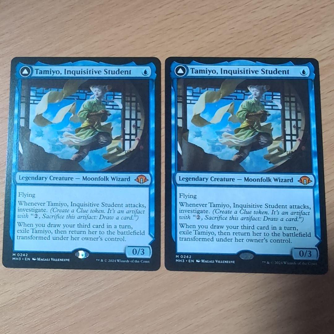 知りたがりの、タミヨウ 英語版 2枚セット - メルカリ