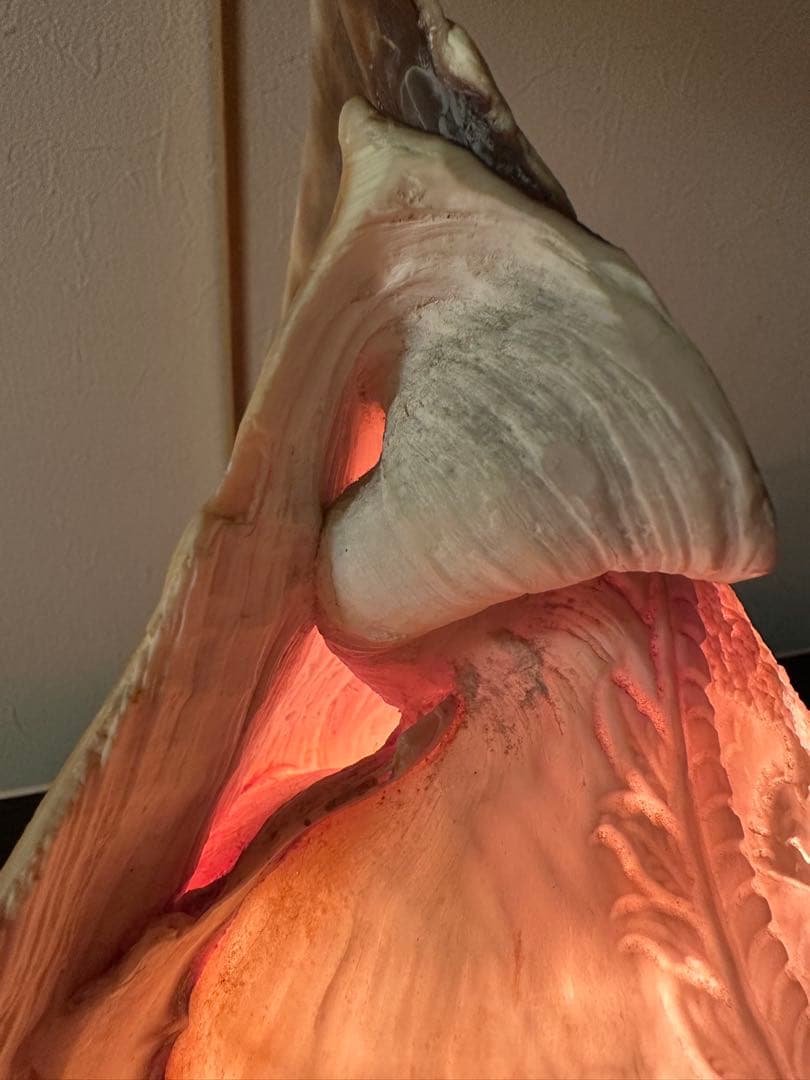 シェルランプ アンティーク 貝殻の彫刻ランプ カメオ