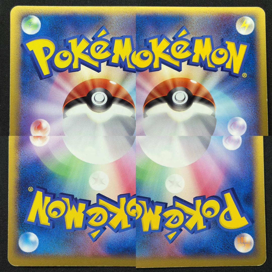 【希少ポケパーク限定】ポケモンカードゲーム フォレストシート プレミアムファイル