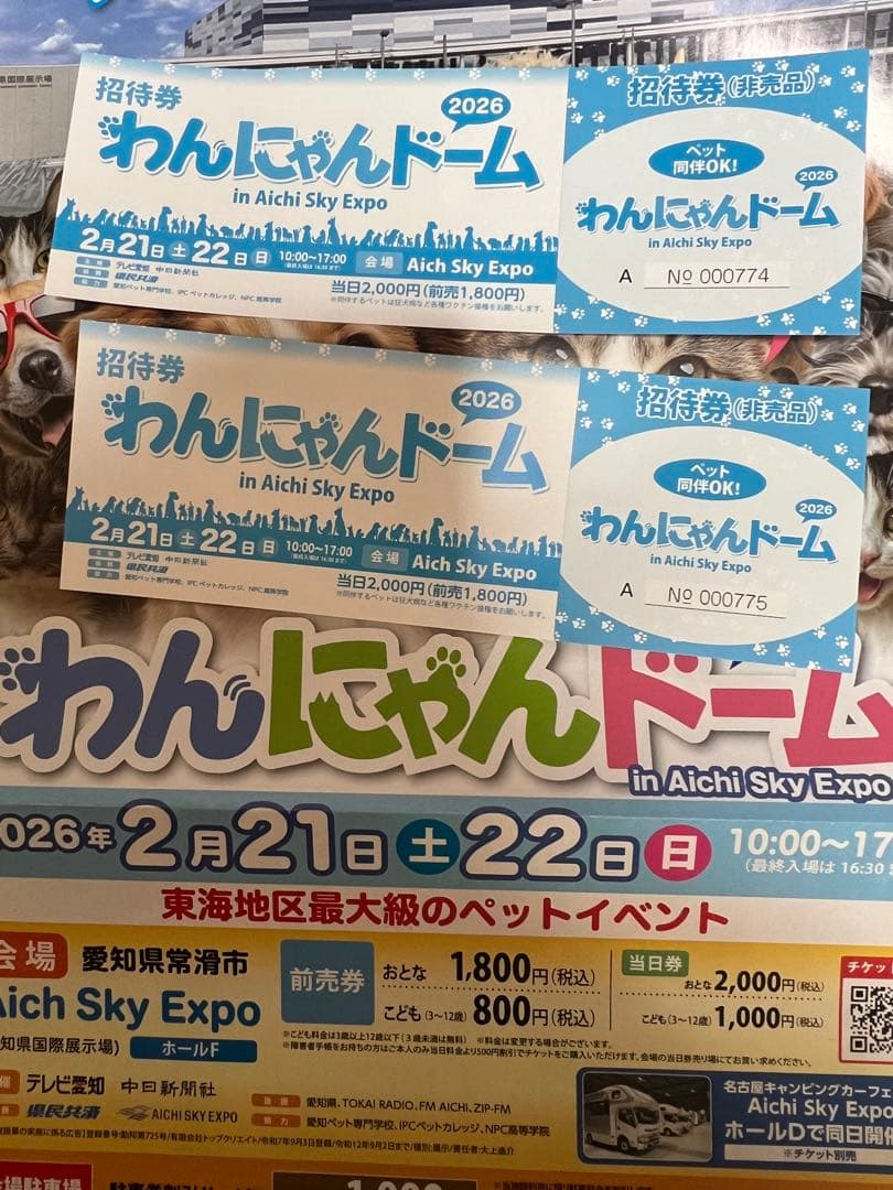 わんにゃんドーム 招待券 2026年 - メルカリ