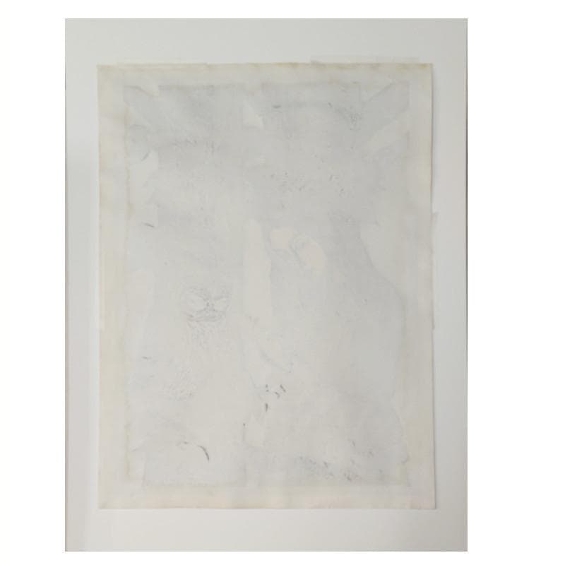 ☆手島圭三郎☆「ふくろうと少女、花」木版画 全紙サイズ 未使用額