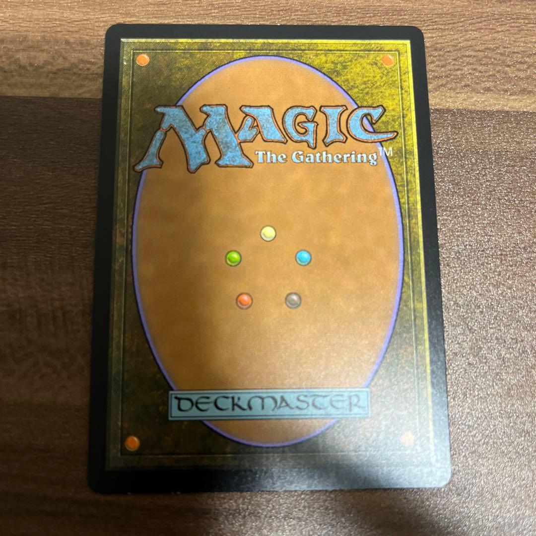 MTG EXP 溢れかえる果樹園 エクスペディション FOIL