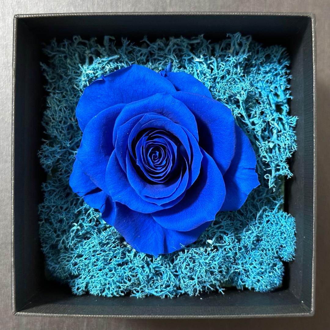 Ado SPECIAL LIVE「心臓」 VIP席特典 プリザーブドフラワー - メルカリ