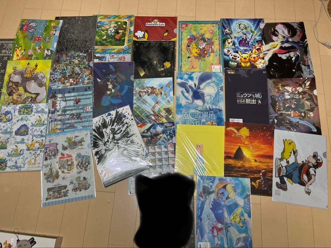 ポケモンクリアファイル約50枚＋コレクションホルダー