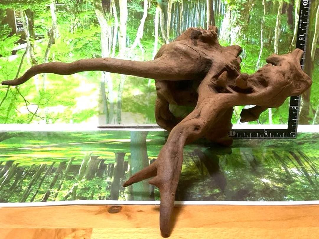 モスキート様専用4点 天然水槽用流木