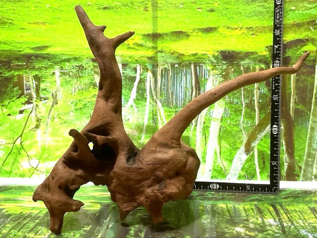 モスキート様専用4点 天然水槽用流木