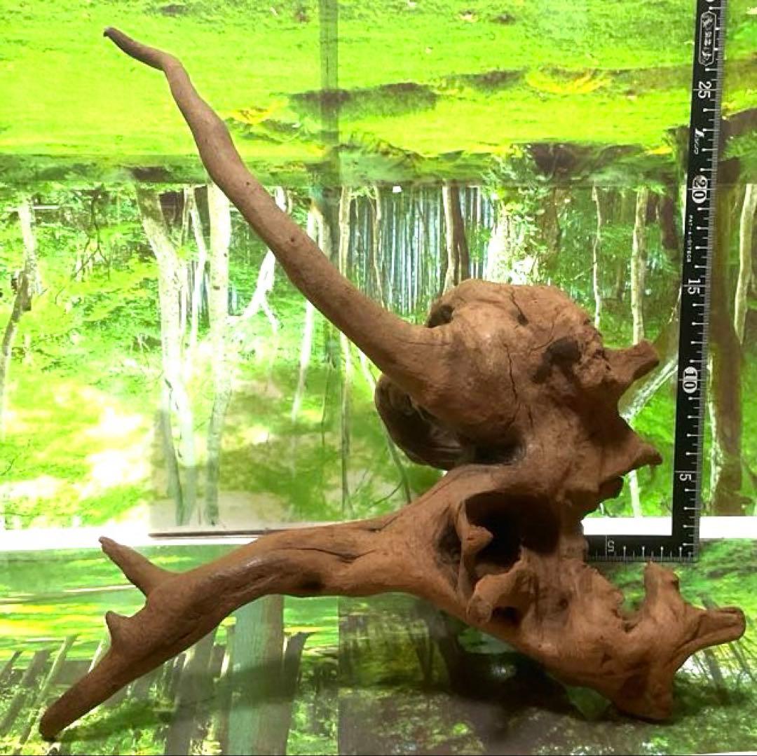 モスキート様専用4点 天然水槽用流木