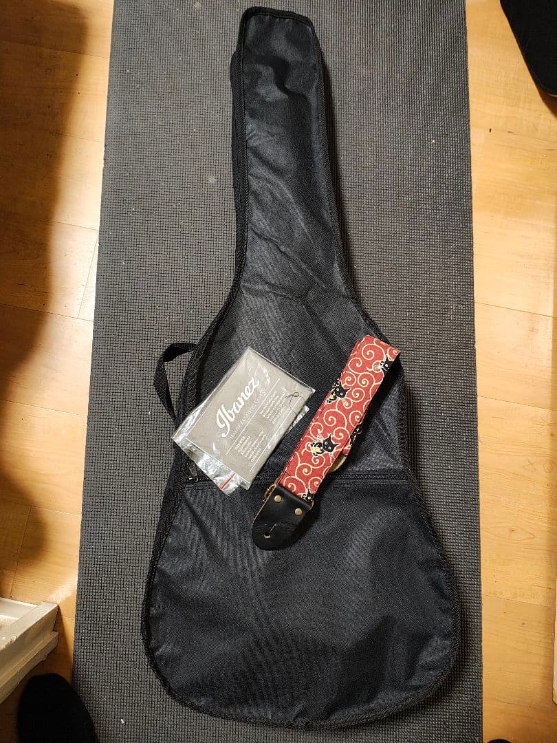 Ibanez PN14-WKオールマホガニー/ソフトケース