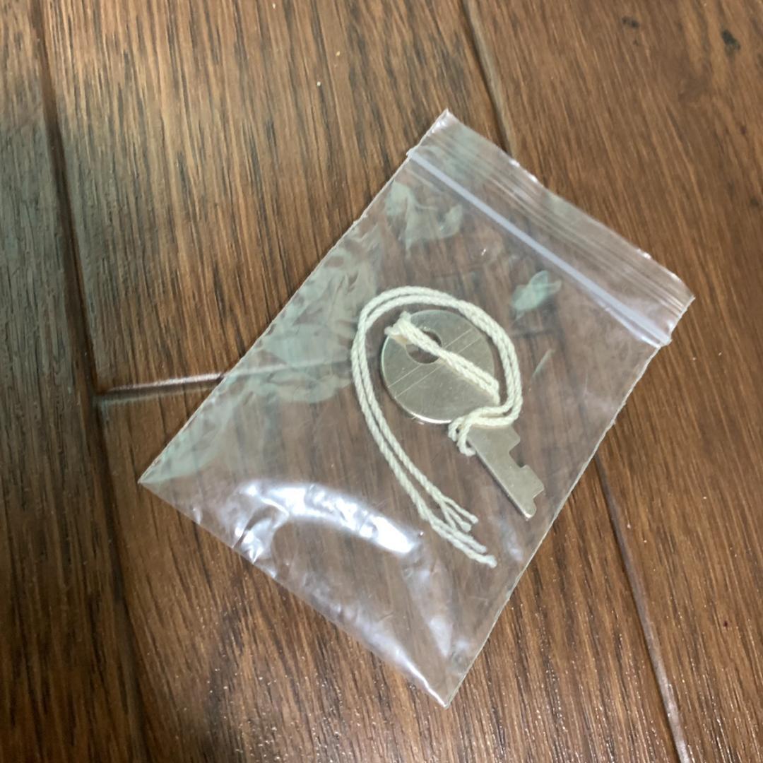 Epiphone CASINOVS エレキギターセミアコギター R03F0346