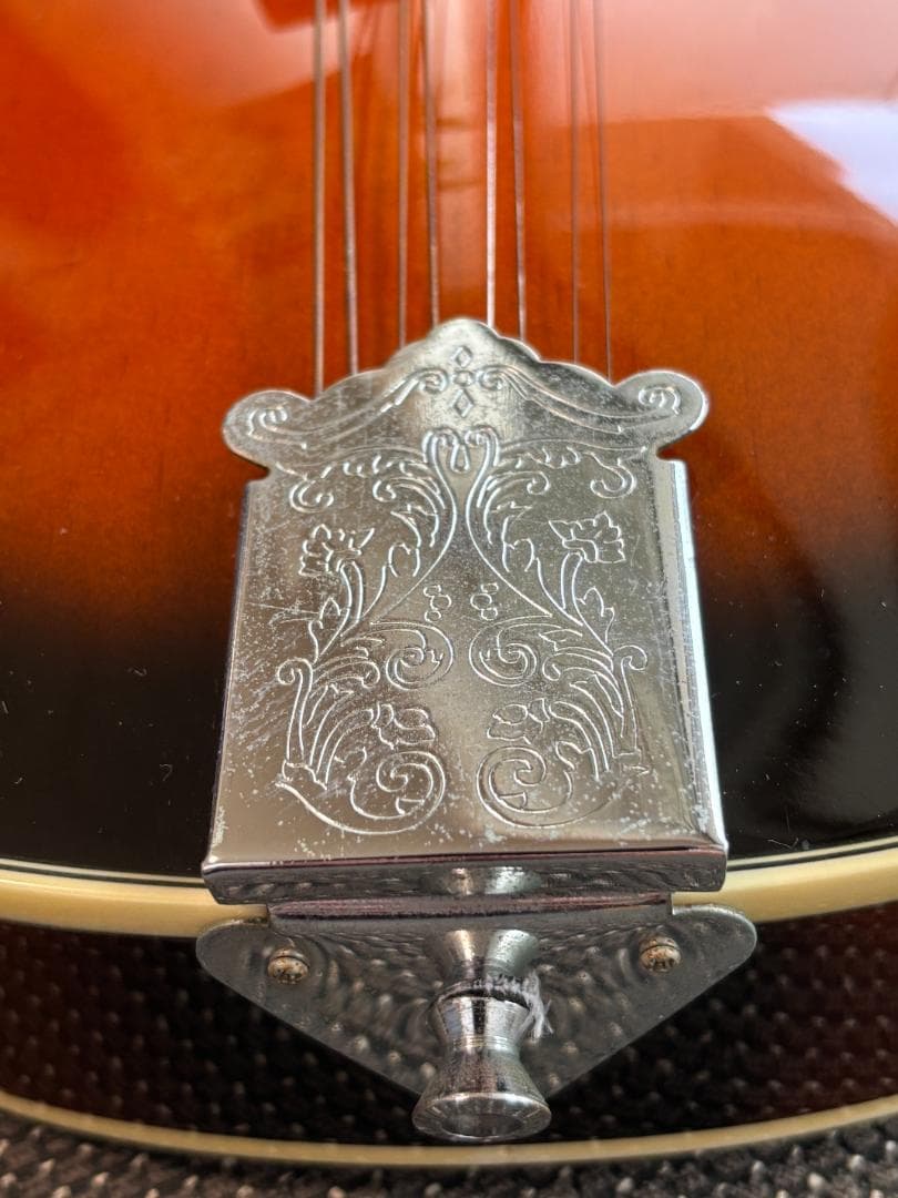 Aria AM-20 マンドリン ハードケース付きARIA AM-20 マンドリン 8弦