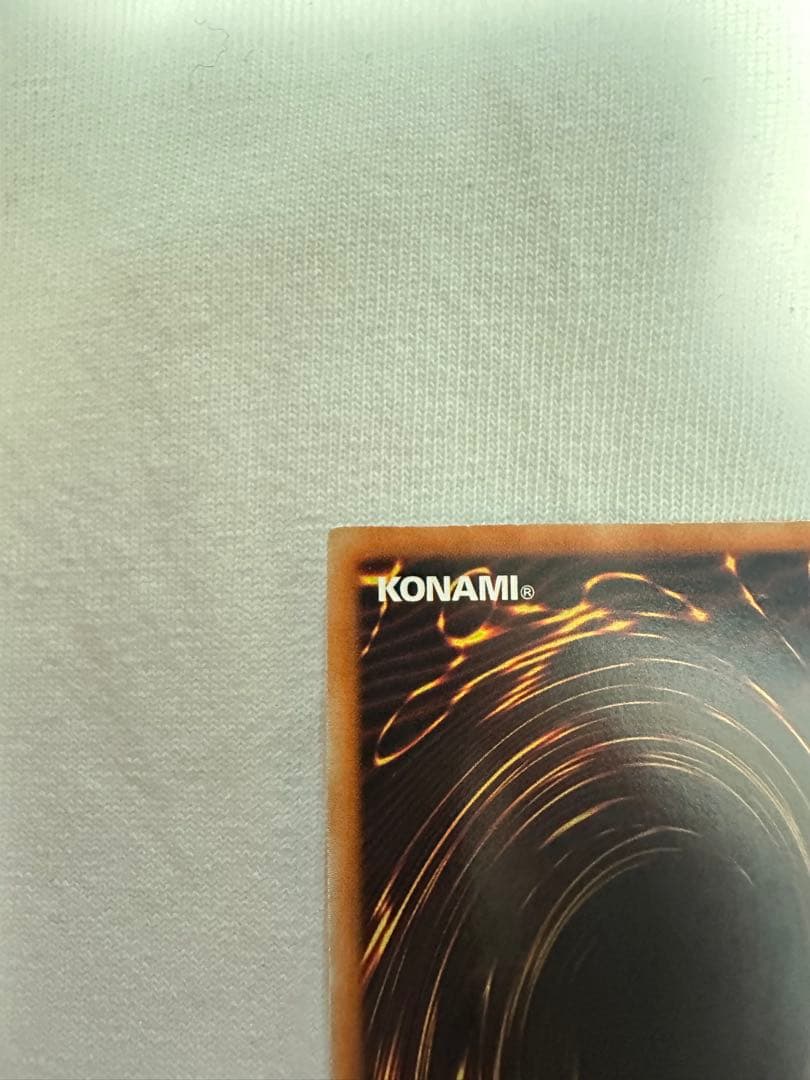 テイブラック•ローズ•ドラゴン　　ホロ