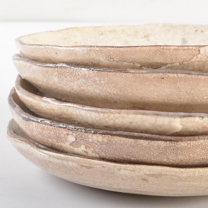 志野焼 絵志野 大橋秋二作 松文 手塩皿 小皿 五客 共箱 V