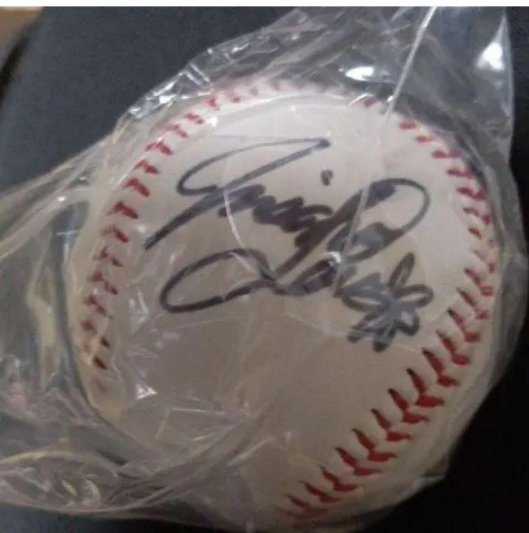 ★即購入❌️レア★蓮佛美沙子 サインボール、えなこ、壇蜜　写真集