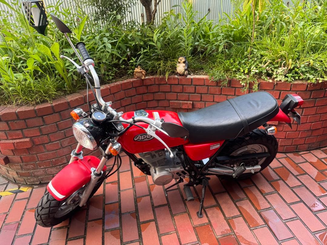 7954】海外 マステ 3/5/巻売り 貝殻光マスキングテープ ハッキング