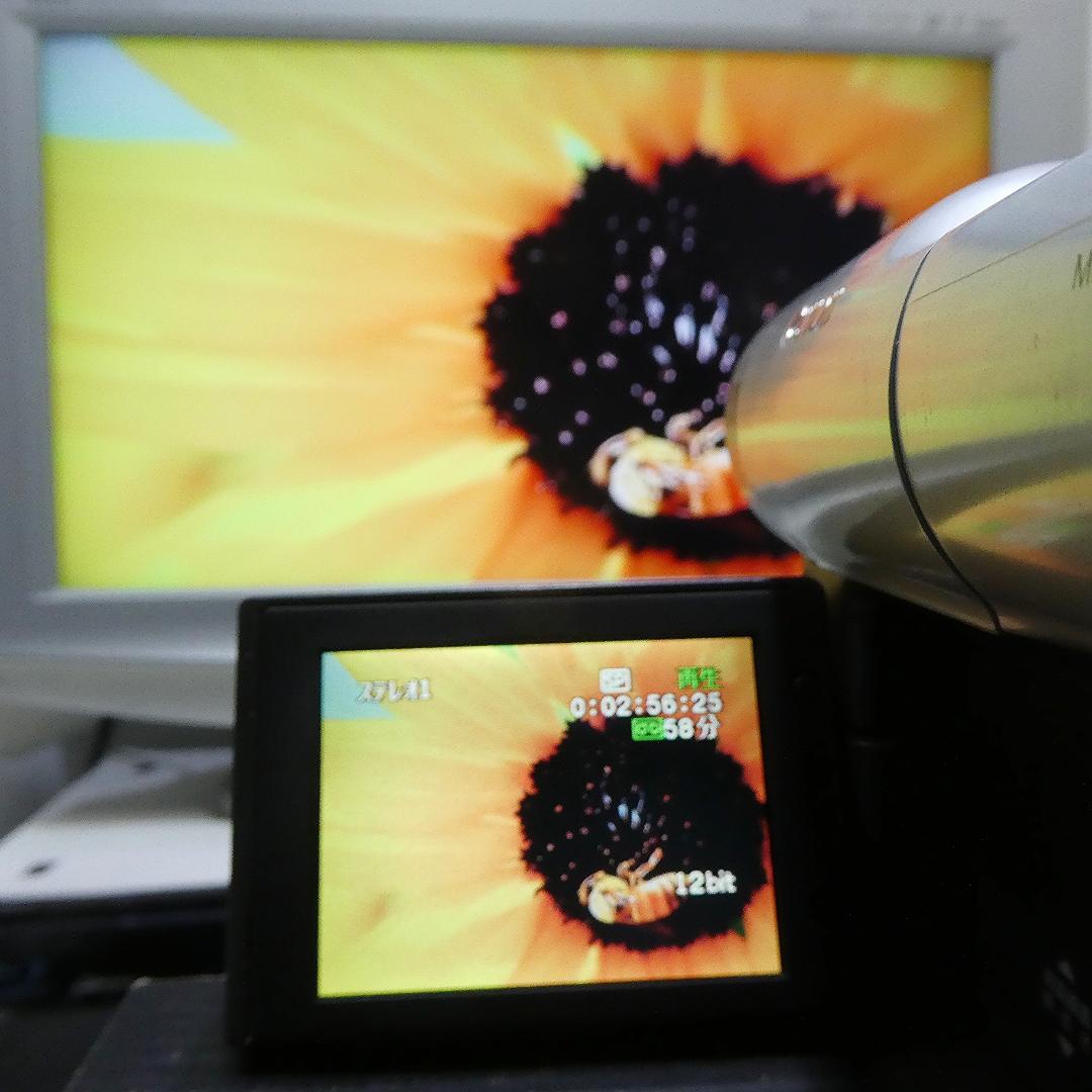動作良好 Canon DM-FV1 MiniDVビデオカメラ　DVD化に最適