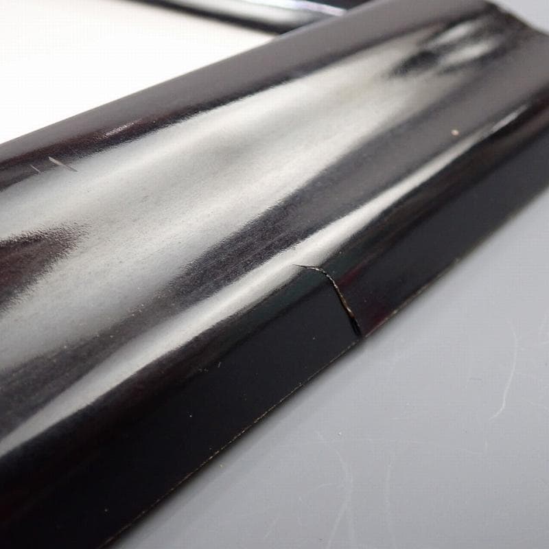 RU-6018　ディズニーセル画　101匹　わんちゃん