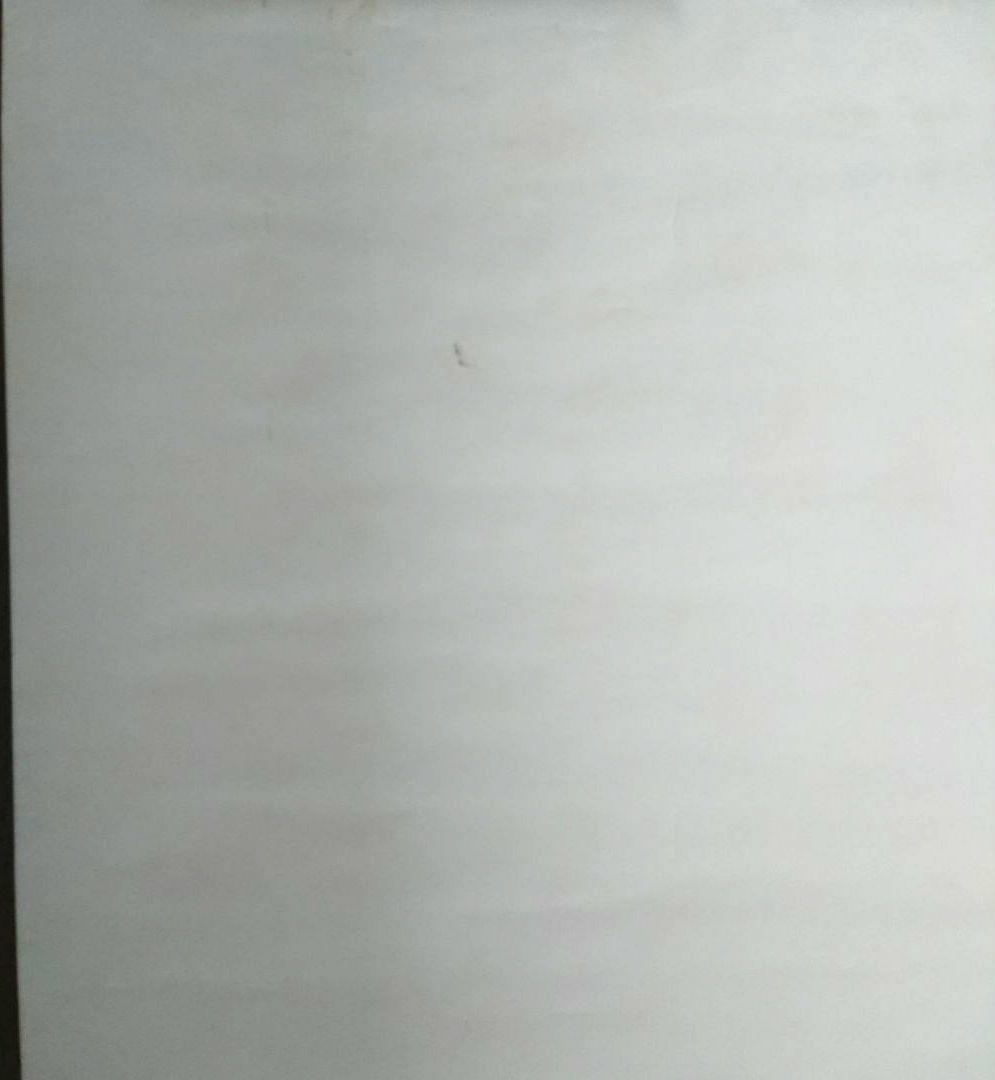 【非売品】中森明菜 86年 明菜ランド イン  ハワイアンセンター 告知ポスター