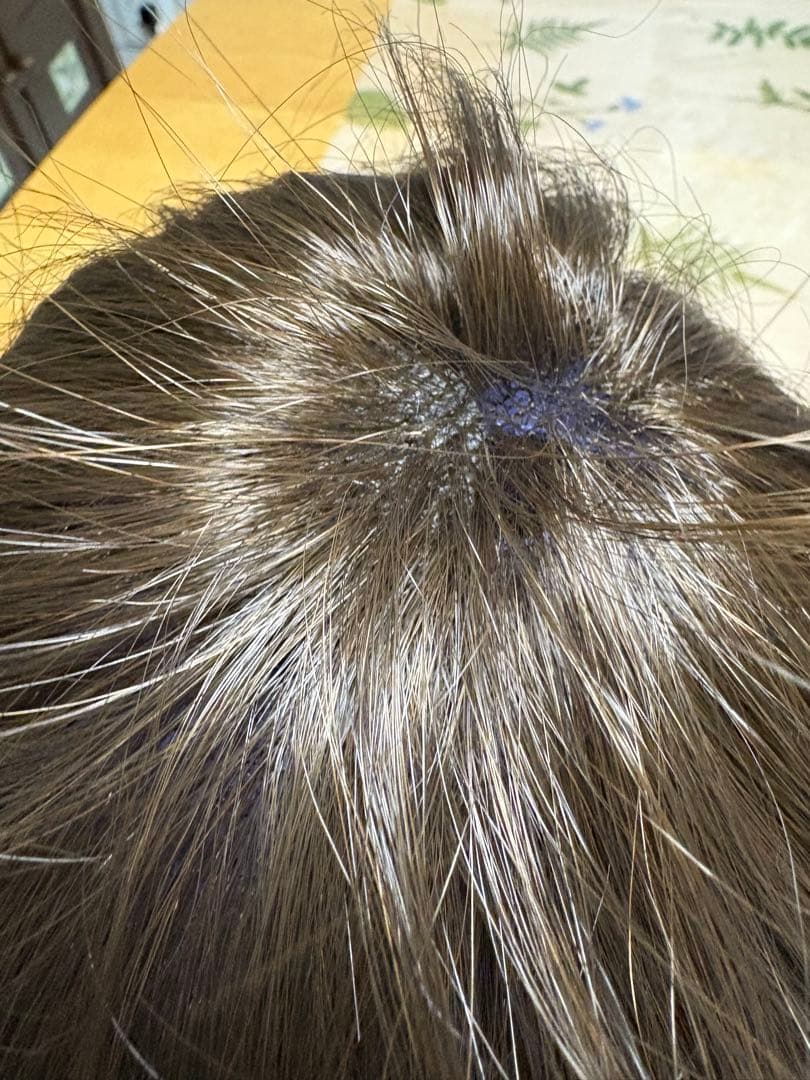 Fontaineブラウン ショートボブウィッグ ウィッグ