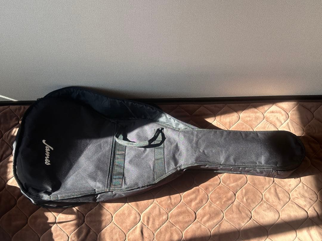 James J-300A NAT アコースティックギター ソフトケース付き James J