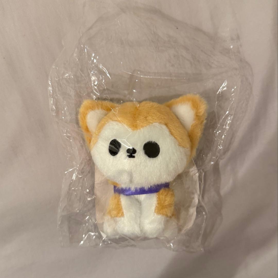 超特急　リョウガ　生誕　ティアラ ティアラ、誕生日おめでとう(^o^) #愛犬 #17歳 #出ているベロが可愛い