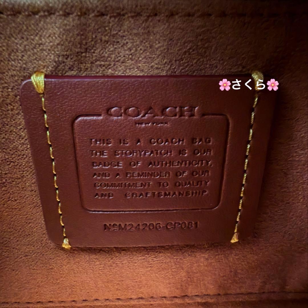✨未使用品✨コーチ アンドレア キャリーオール 2way ショルダーバッグ