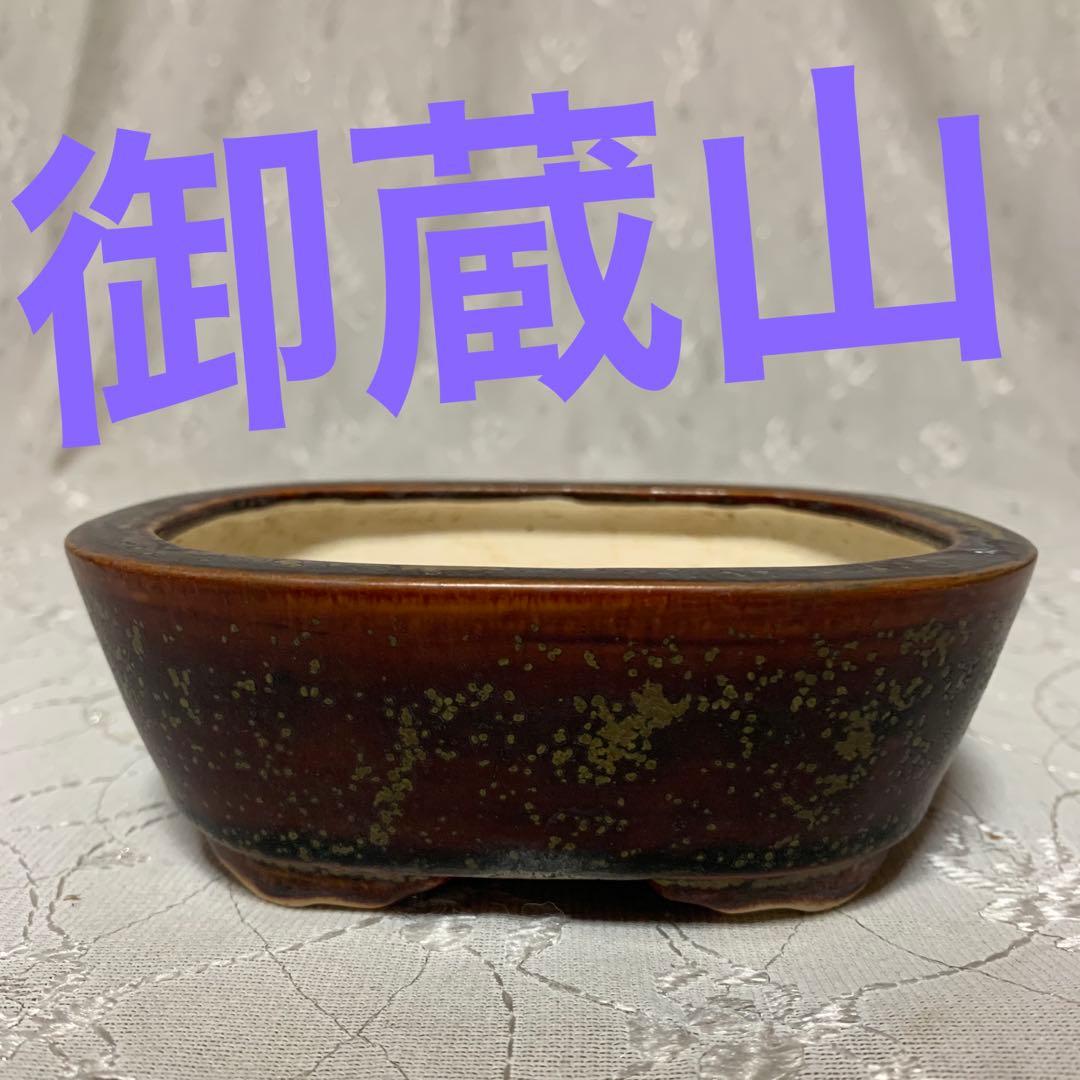 御蔵山 長方 盆栽鉢 2024