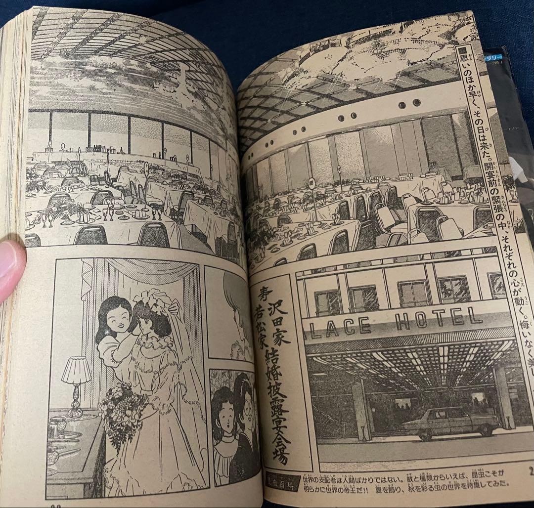 【美品❗️早い者勝ち❗️】少年ビッグコミック　あだち充先生のみゆき最終回直前号２冊