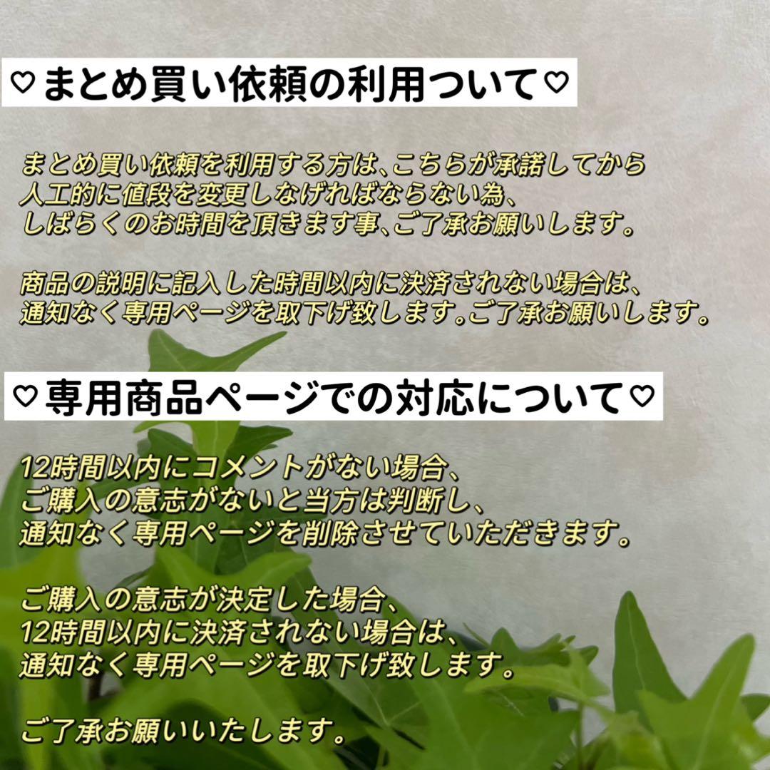 花びらケシパールネックレス スティックバロックパールネックレス 一連