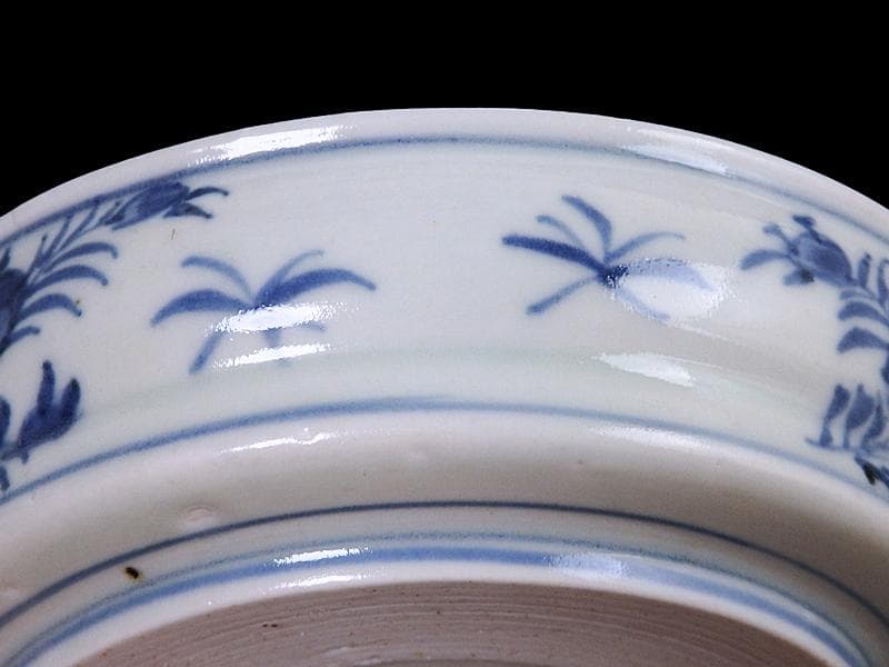 古伊万里　染付　松に山水の図　膾皿　5寸皿　C996AS-CVo