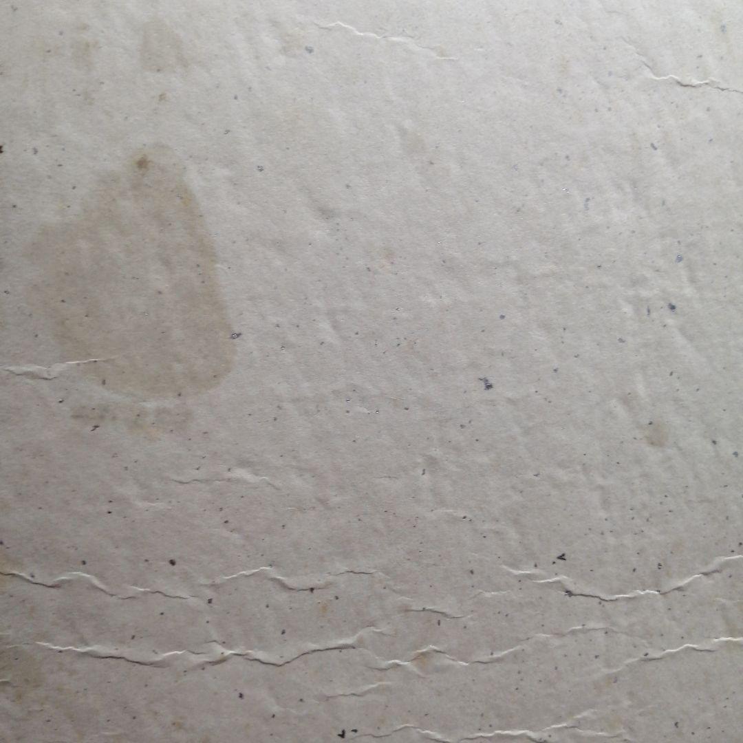 日本画 舞妓　油絵　林義雄