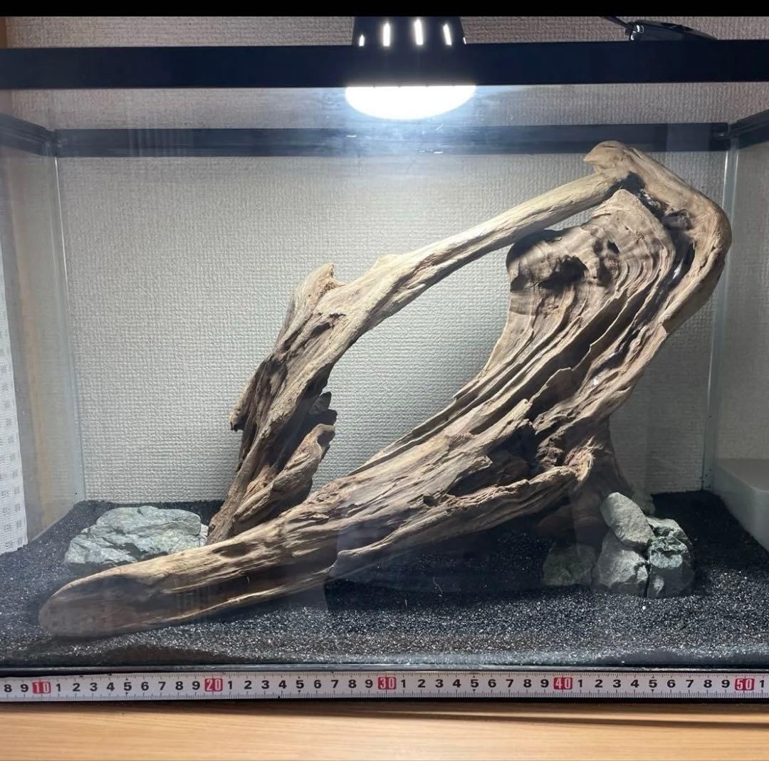 流木大型 特大流木販売｜法人向け大型装飾・庭園・商業施設用・個人DIY