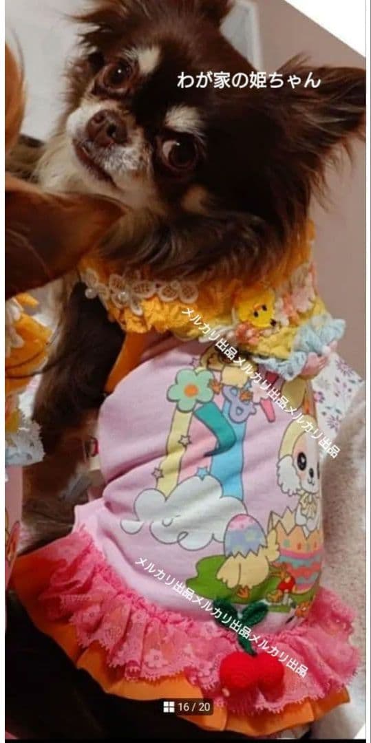 J＆Kanimals ホワイトシュガーちゃんワンピース 限定ワンピース 廃盤品