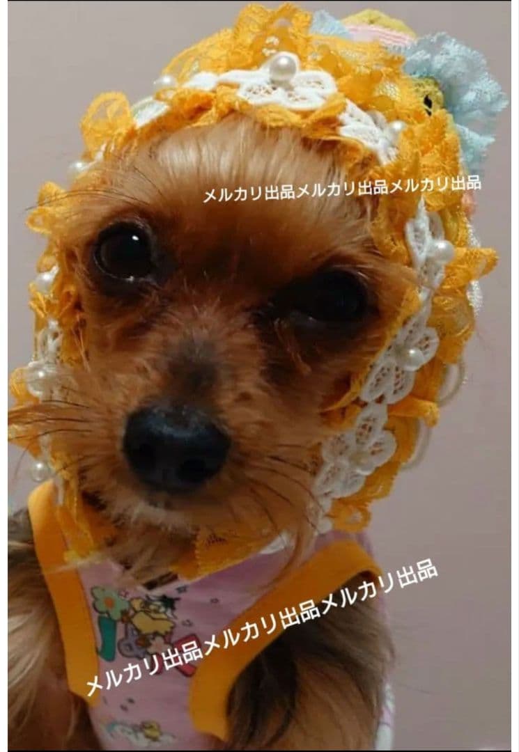 J＆Kanimals ホワイトシュガーちゃんワンピース 限定ワンピース 廃盤品